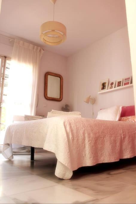 Apartmán Penthouse With Large Terrace In Center Of Cádiz Exteriér fotografie